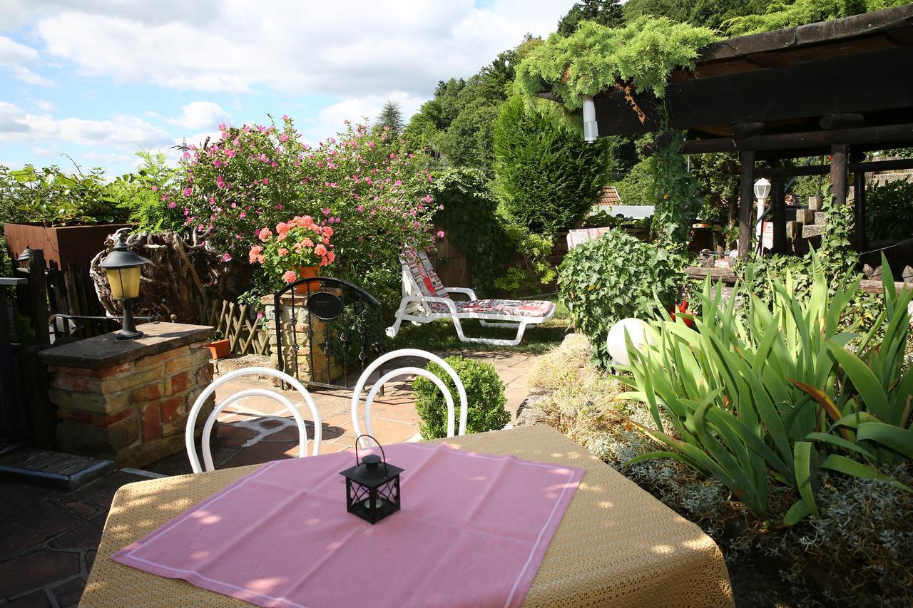 Pension Weinberg Mit Landhaus Nizza Gleisweiler Exteriér fotografie