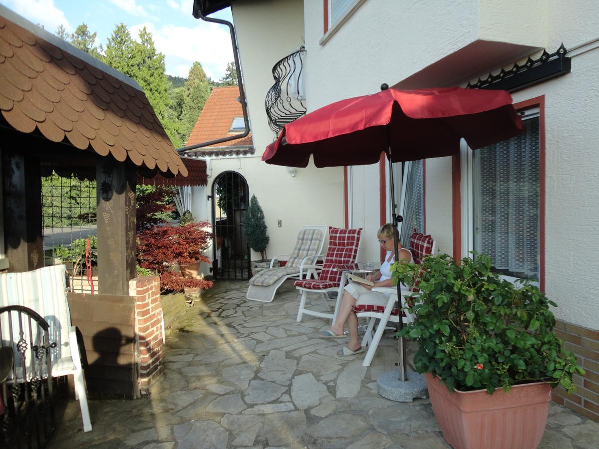 Pension Weinberg Mit Landhaus Nizza Gleisweiler Exteriér fotografie